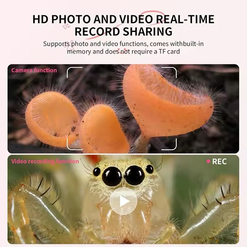 WhatsApp Image 2026-01-02 at 10.57.35 AM